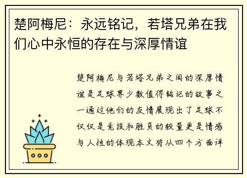 楚阿梅尼：永远铭记，若塔兄弟在我们心中永恒的存在与深厚情谊